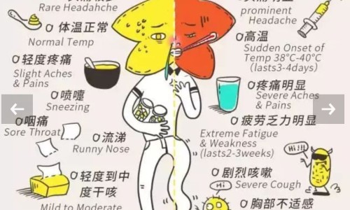 中药桔梗的价格网 :分享中药桔梗的药效-中药材桔梗价格知识