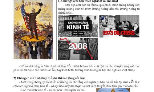 中药桔梗的价格网 :分享中药桔梗的药效-中药材桔梗价格知识